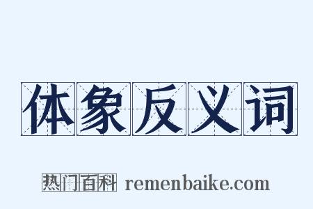 体象反义词是什么意思的图片